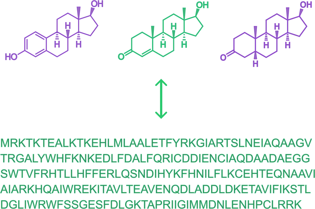 Three steroid structures with their differing atoms picked out in purple, above a protein sequence in green.